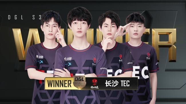 个性与团队 个性与团队