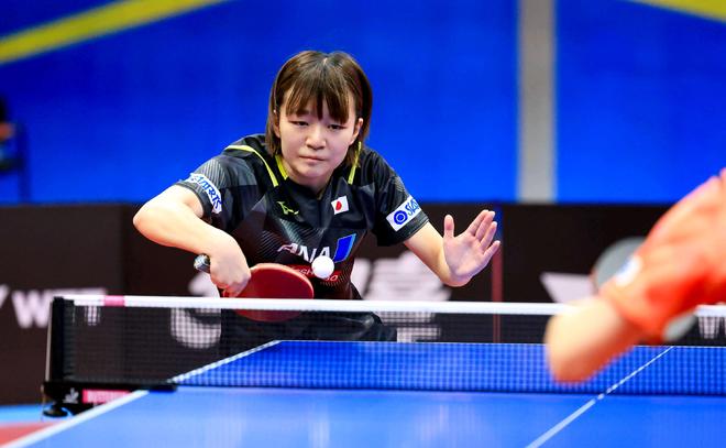 对比泰山以 对比泰山以